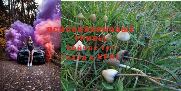 ALPHA PVP Сясьстрой