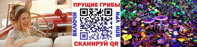 Псилоцибиновые грибы MAGIC MUSHROOMS  Купить закладки  Углич 